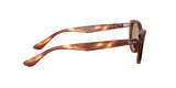 Ray-Ban RB4314N Nina Sunglasses + Vision Group Accessories Bundle (Striped Havana/Crystal Brown (954/33))
