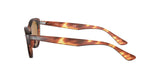 Ray-Ban RB4314N Nina Sunglasses + Vision Group Accessories Bundle (Striped Havana/Crystal Brown (954/33))