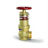 Zurn Wilkins ZW5000 2-1/2" Pressure Tru® Field Adjustable Pressure Reducing Hose Valve (Angle, FNPT x NH)