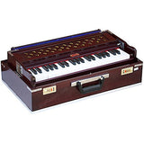 BINA 9 Stopper 3.5 Octaves Multifold Bellow 42 Keys 2 Reeds Harmonium + Bag USA