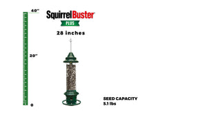 Brome 1024 Squirrel Buster Plus Wild Bird Feeder with Cardinal Perch Ring