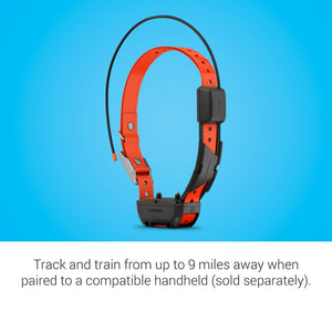 Garmin Alpha TT 25 GPS Dog Tracking and Training Collar