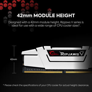 G.SKILL Ripjaws V Series 64GB (4 x 16GB) 288-Pin DDR4 SDRAM DDR4 3200 PC4 25600