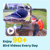 NETVUE Birdfy AI Smart Bird Feeder with Rechargeable Camera AI Auto Capture - NEW