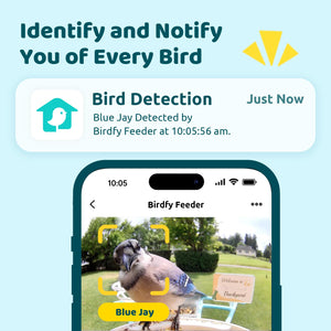 NETVUE Birdfy AI Smart Bird Feeder with Rechargeable Camera AI Auto Capture - NEW