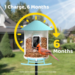 NETVUE Birdfy AI Smart Bird Feeder with Rechargeable Camera AI Auto Capture - NEW