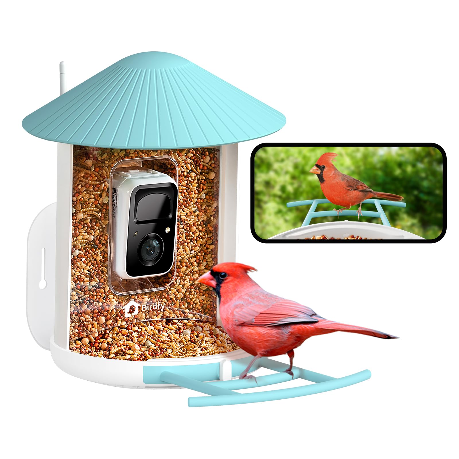 NETVUE Birdfy AI Smart Bird Feeder with Rechargeable Camera AI Auto Capture - NEW