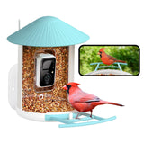 NETVUE Birdfy AI Smart Bird Feeder with Rechargeable Camera AI Auto Capture - NEW
