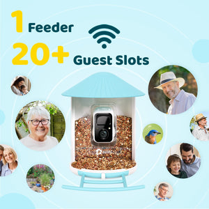NETVUE Birdfy AI Smart Bird Feeder with Rechargeable Camera AI Auto Capture - NEW