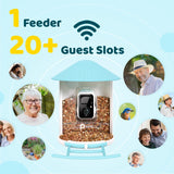 NETVUE Birdfy AI Smart Bird Feeder with Rechargeable Camera AI Auto Capture - NEW