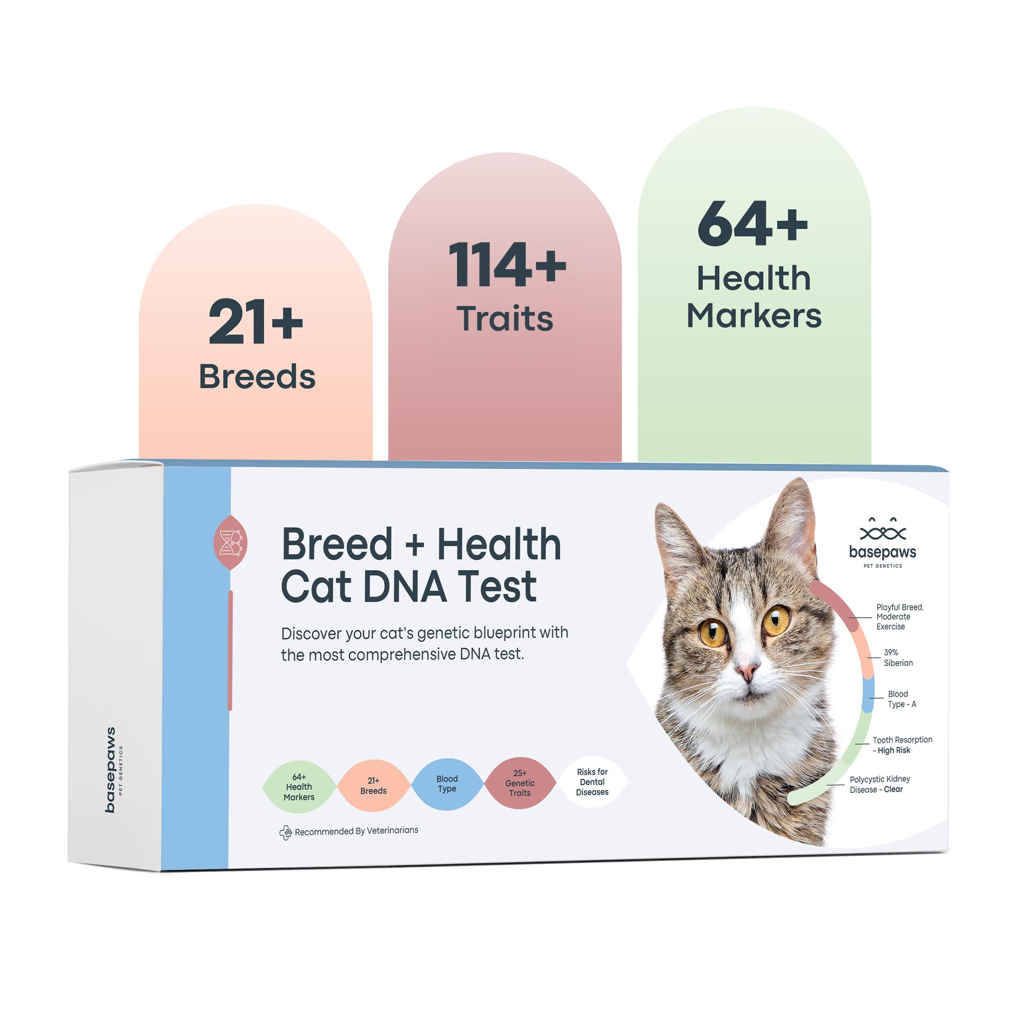 Basepaws CatKit DNA Test Kit - Comprehensive Breed, Health And Dental Analysis