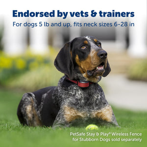PetSafe Stubborn Dog Stay & Play Wireless Pet Fence Receiver Collar   PIF00-13672
