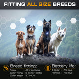 INVIROX Dog Shock Collar Ultra K9 X2 - 124 Training Levels - 4 Powerful Modes - 2 Collars
