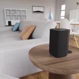 Roku Wireless Speakers (for Roku Streambars or Roku TV),Black 2 Count (Pack of 1)
