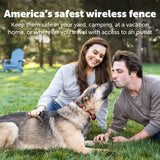 PetSafe Stubborn Dog Stay & Play Wireless Pet Fence Receiver Collar   PIF00-13672