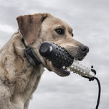 SportDOG SDR-AXF Collar Add-A-Dog Receiver for SD-425X SD-575 SD-825X SD-875