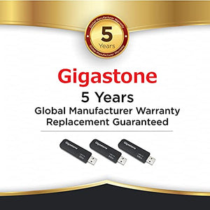 Gigastone V30 64GB USB 2.0 Flash Drive 2-Pack, Capless Retractable Design Pen Drive, Carbon Fiber Style, Reliable Performance & Durable